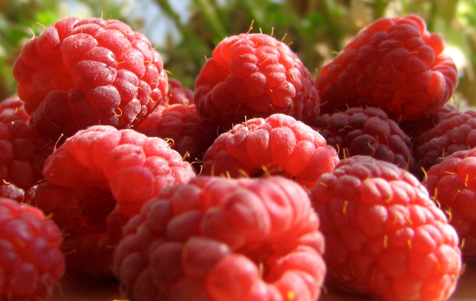 Top 7 Factors of Raspberry Ketone Diet
